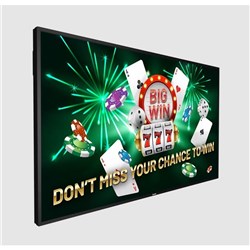 Philips 55 inch P Series 4K 24/7 800nit Professional Tough Display with OPS